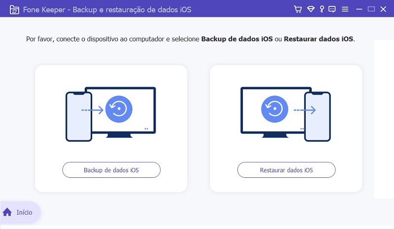 ios data backup and restore interface